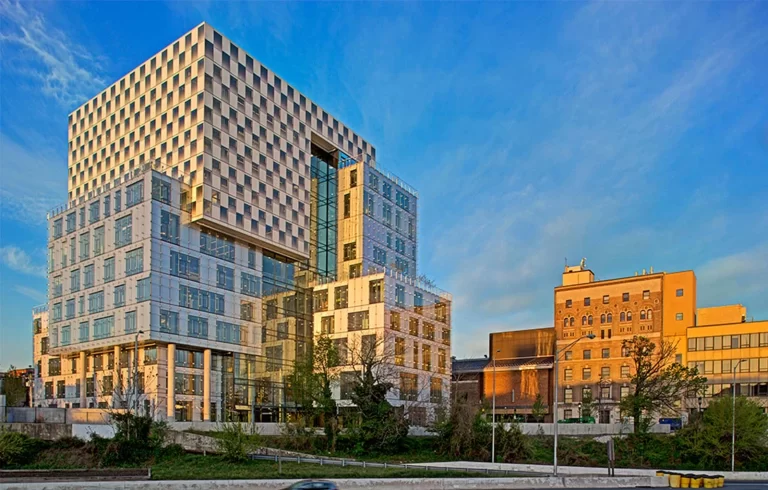 Ub Law
